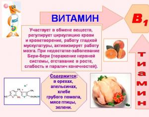 Витамин В1: зачем он нужен и в каких продуктах содержится Какие продукты содержат витамин в1